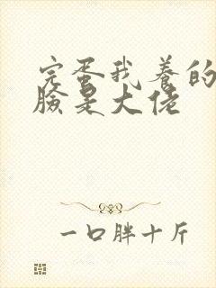 完蛋我养的小白脸是大佬封面