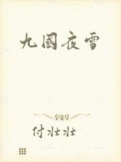 九国夜雪封面