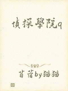 侦探学院q