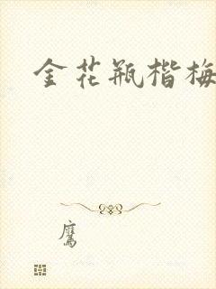 金花瓶楷梅花2封面