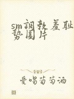 sm调教羞耻姿势图片