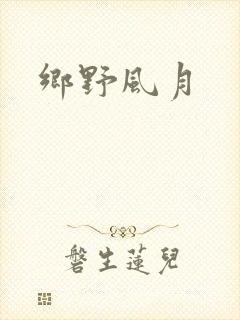 乡野风月封面