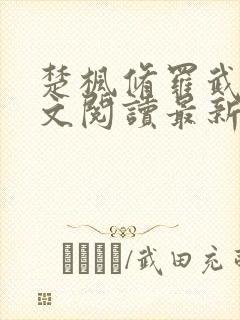 楚枫修罗武神全文阅读最新封面