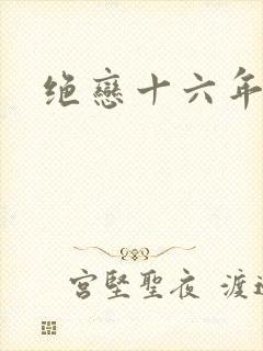 绝恋十六年封面