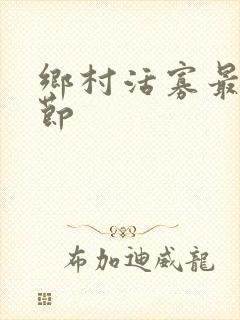 乡村活寡最新章节