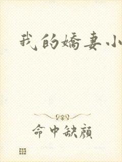 我的娇妻小说