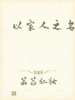 以家人之名小说