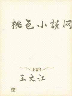 桃色小说网