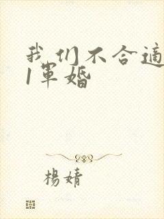 我们不合适1v1军婚
