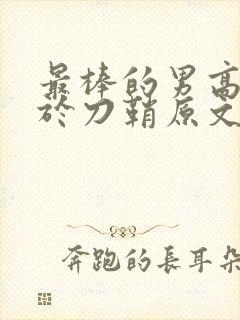 最棒的男高中生于刀鞘原文阅读