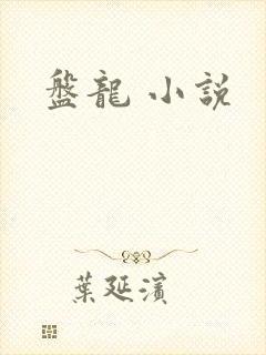 盘龙 小说