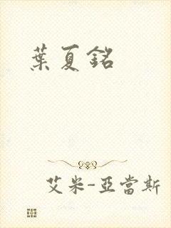 叶夏铭封面