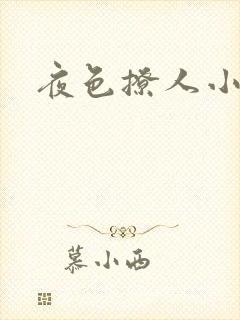 夜色撩人小说