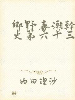 乡野春潮干柴烈火第六十三章