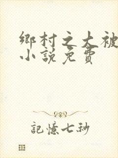 乡村之大被同眠小说免费