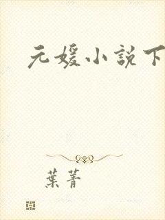 元媛小说下载封面