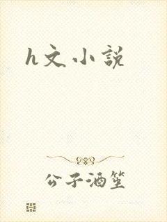 h文小说