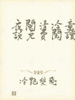 夜阑清冷意欢小说免费阅读