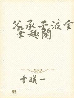 父承子液金银花 笔趣阁