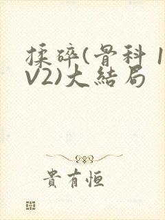 揉碎(骨科 1V2)大结局