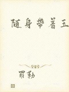 随身带着玉如意封面