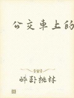 公交车上的诗晴封面