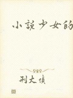 小说少女的心