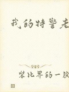 我的特警老婆