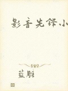 影音先锋小说封面