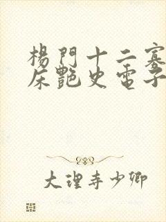 杨门十二寡妇肉床艳史电子书