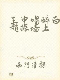王申喝醉白洁被赵振墙上