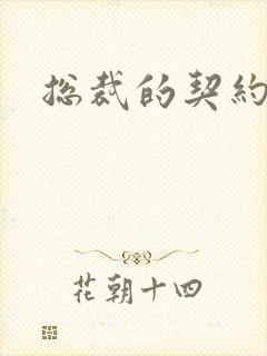 总裁的契约情人