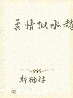 柔情似水赵雅儿