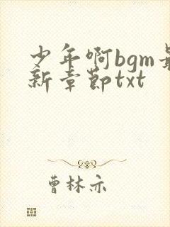 少年啊bgm最新章节txt封面