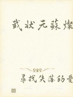 武状元苏灿封面