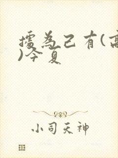 据为己有(高干)今夏封面