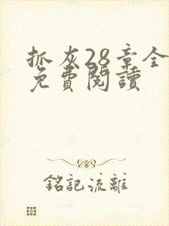 抓灰28章全部免费阅读