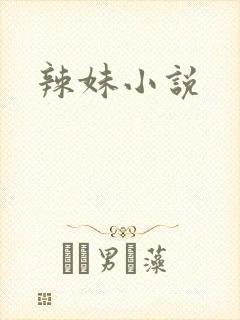 辣妹小说