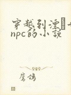 穿越到湮婸世界npc的小说