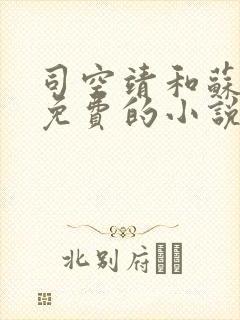 司空靖和苏月汐免费的小说笔趣阁