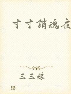 寸寸销魂夜春光