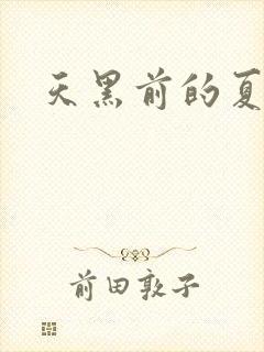 天黑前的夏天