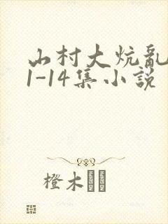 山村大炕乱肉续1-14集小说