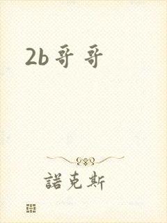 2b哥哥