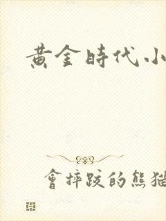黄金时代小说