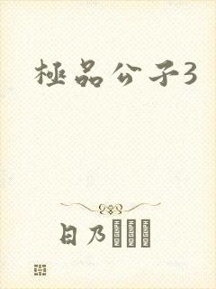 极品公子3
