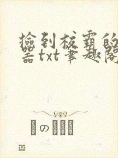 捡到校霸的遥控器txt笔趣阁