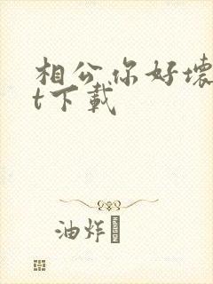 相公你好坏txt下载
