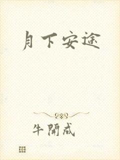 月下安途封面