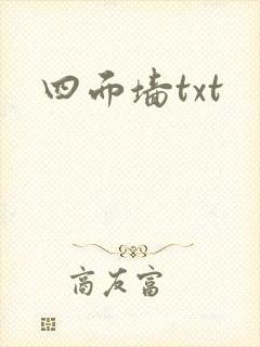 四面墙txt